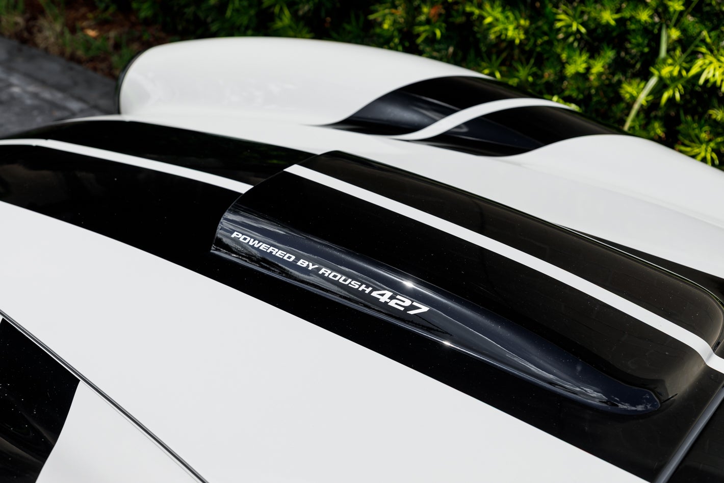2026 SHELBY BACKDRAFT COBRA RT4B